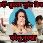 सर्दी जुकाम कैसे ठीक करें|सर्दी जुकाम के बेस्ट घरेलू उपाय