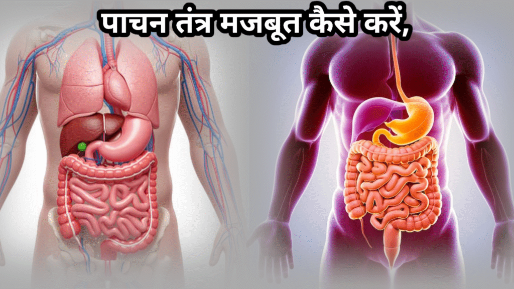 पाचन तंत्र मजबूत कैसे करें,| Pachan Tantra Majboot Kaise Kare
